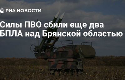 Силы ПВО сбили еще два БПЛА над Брянской областью