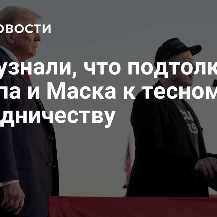 СМИ узнали, что подтолкнуло Трампа и Маска к тесному сотрудничеству