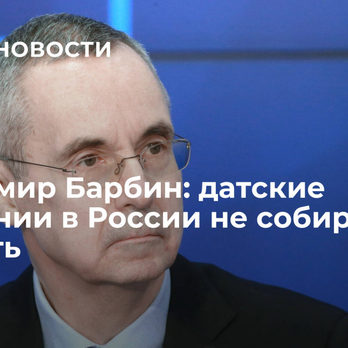 Владимир Барбин: датские компании в России не собираются уходить