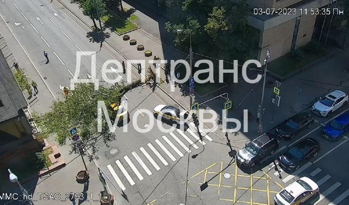 Упавшее дерево парализовало движение по улице в центре Москвы