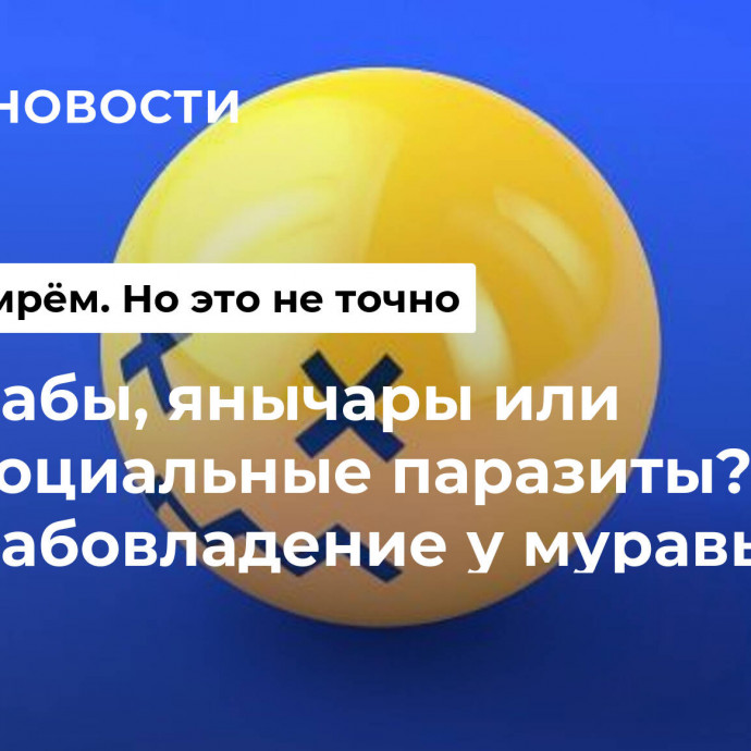 Рабы, янычары или социальные паразиты? Рабовладение у муравьев