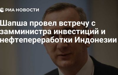 Шапша провел встречу с замминистра инвестиций и нефтепереработки Индонезии