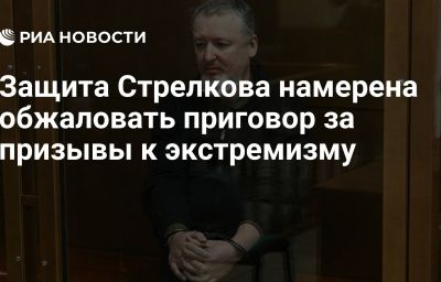 Защита Стрелкова намерена обжаловать приговор за призывы к экстремизму