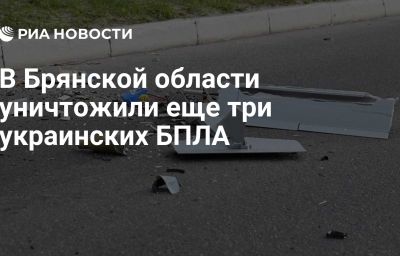 В Брянской области уничтожили еще три украинских БПЛА