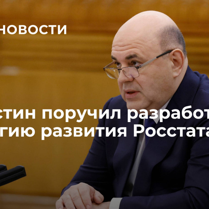 Мишустин поручил разработать стратегию развития Росстата