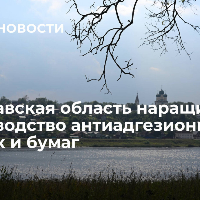 Ярославская область наращивает производство антиадгезионных пленок и бумаг