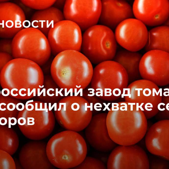 СМИ: российский завод томатной пасты сообщил о нехватке семян помидоров