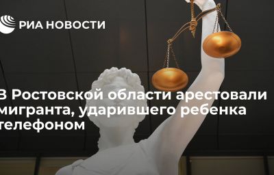 В Ростовской области арестовали мигранта, ударившего ребенка телефоном