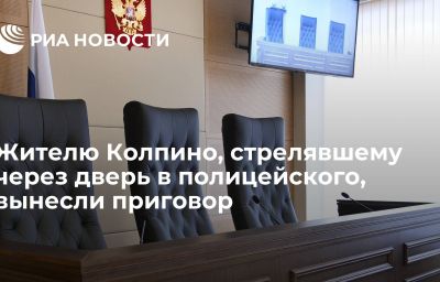 Жителю Колпино, стрелявшему через дверь в полицейского, вынесли приговор