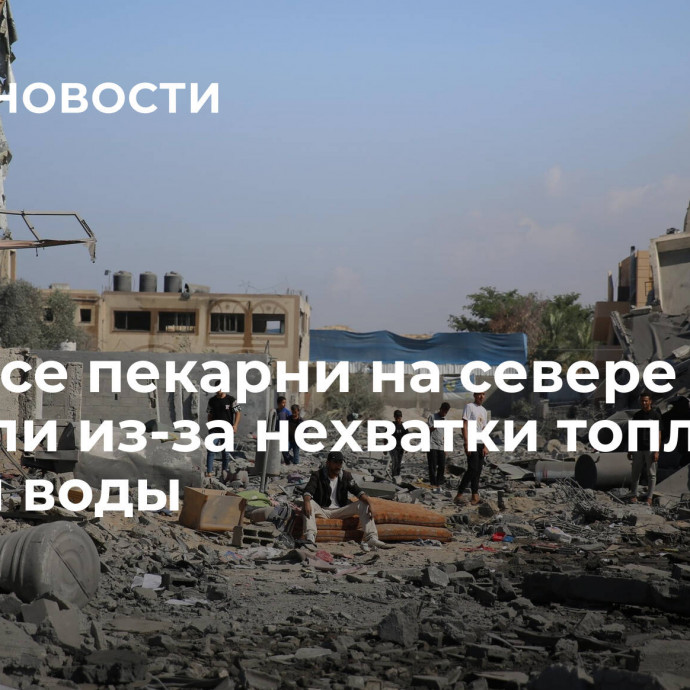 ООН: все пекарни на севере Газы закрыли из-за нехватки топлива, муки и воды