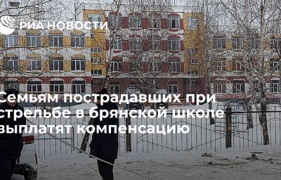 Семьям пострадавших при стрельбе в брянской школе выплатят компенсацию