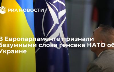 В Европарламенте признали безумными слова генсека НАТО об Украине