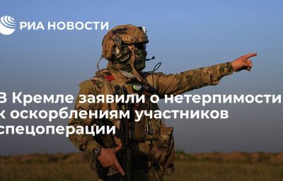 В Кремле заявили о нетерпимости к оскорблениям участников спецоперации