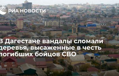 В Дагестане вандалы сломали деревья, высаженные в честь погибших бойцов СВО