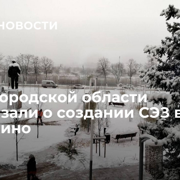 В Белгородской области рассказали о создании СЭЗ в Шебекино