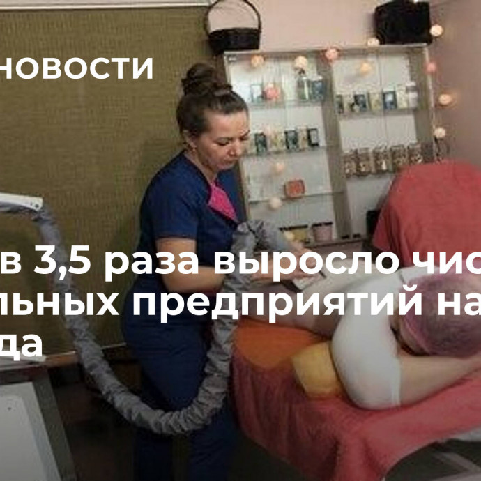 Почти в 3,5 раза выросло число социальных предприятий на Алтае за 3 года