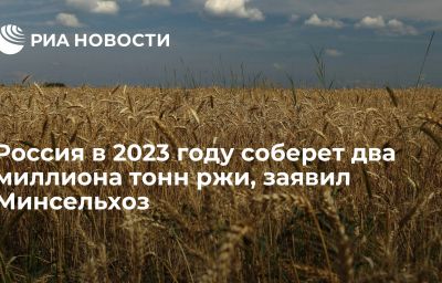 Россия в 2023 году соберет два миллиона тонн ржи, заявил Минсельхоз